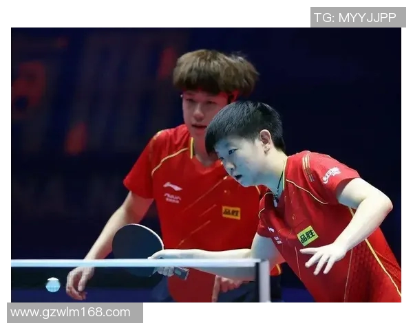 杭州羽毛球队速度之争引发热议球迷与专家各抒己见