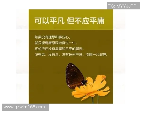 极限运动的成功秘诀周芳分享她的心路历程与挑战应对策略
