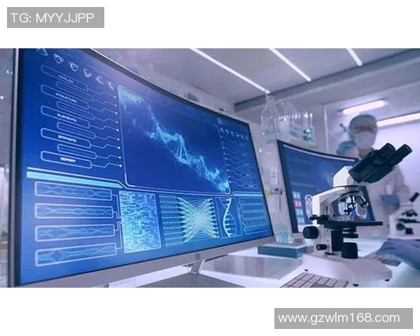 北京乒乓球队快攻革新之路探索与实践的深度分析与展望