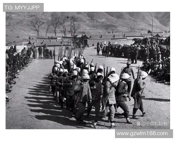 北京排球队快攻革新之路：技术突破与战术演变的深度解析