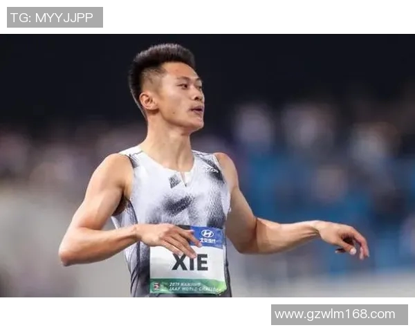 北京羽毛球队在钻石联赛中的精彩表现与状态分析 北京羽毛球队在钻石联赛中的精彩表现与状态分析