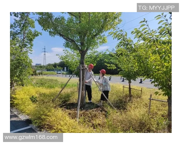 南京攀岩队全面革新策略助力整体实力提升与压制效果显著