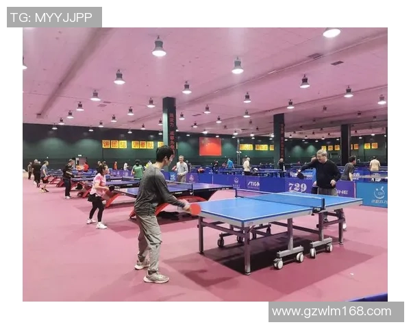 成都乒乓球队心理素质深度对比与训练策略探讨