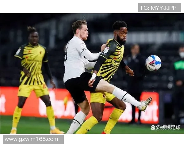 吉灵汉姆与桑德兰球队身价对比分析及其影响因素探讨