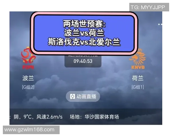 波兰与北爱尔兰精彩对决重播回顾及赛后分析