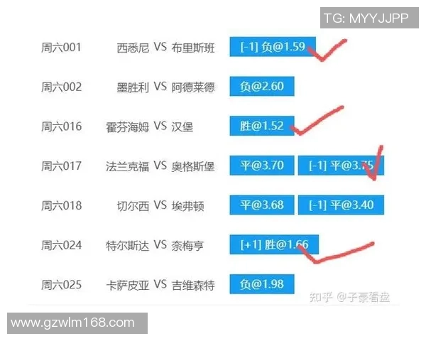 足球比分分析与指数解读助你精准预测比赛结果
