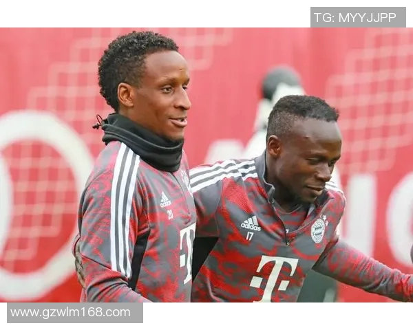 马内的传奇旅程：从塞内加尔小镇到世界足球舞台的辉煌成就