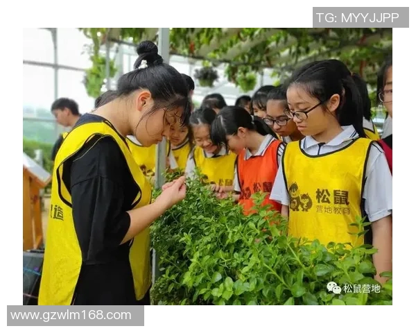 何思雨的成长之路:在风雨中绽放的青春故事与梦想追寻 何思雨的成长之路:在风雨中绽放的青春故事与梦想追寻