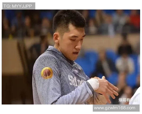 陶汉林：从篮球场上的拼搏者到社会公益的践行者的华丽转身