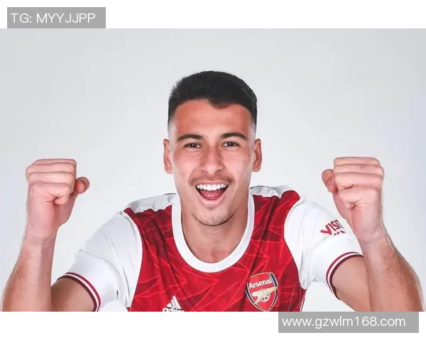 马丁内利：从青涩新星到足坛巨星的成长之路与未来展望