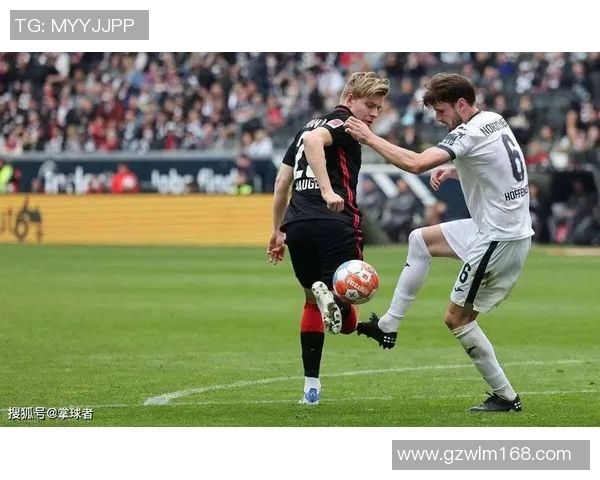 德国与法国强强对决竞彩003精彩赛事分析与预测