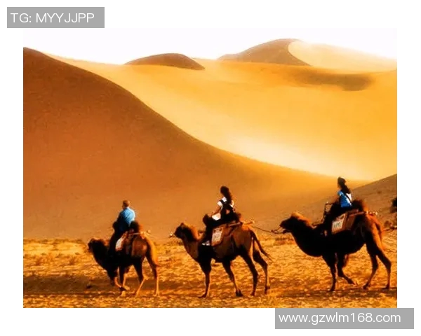 王岚的音乐之路：从初出茅庐到乐坛新星的成长历程与心路历程分享