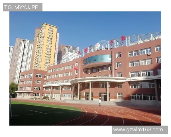 许钟豪的奋斗故事与人生哲学：从平凡到卓越的成长之路