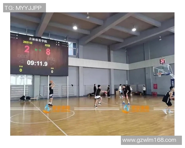 专访赵静：探寻篮球领域成功背后的秘密与智慧