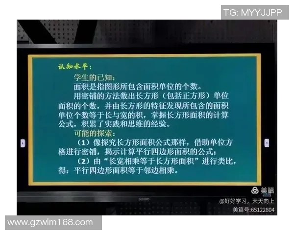上海网球队运营分析：成功经验与面临挑战的深度探讨