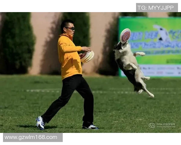 北京飞盘队在极限运动世界杯中的精彩节奏与表现分析